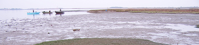 laguna
